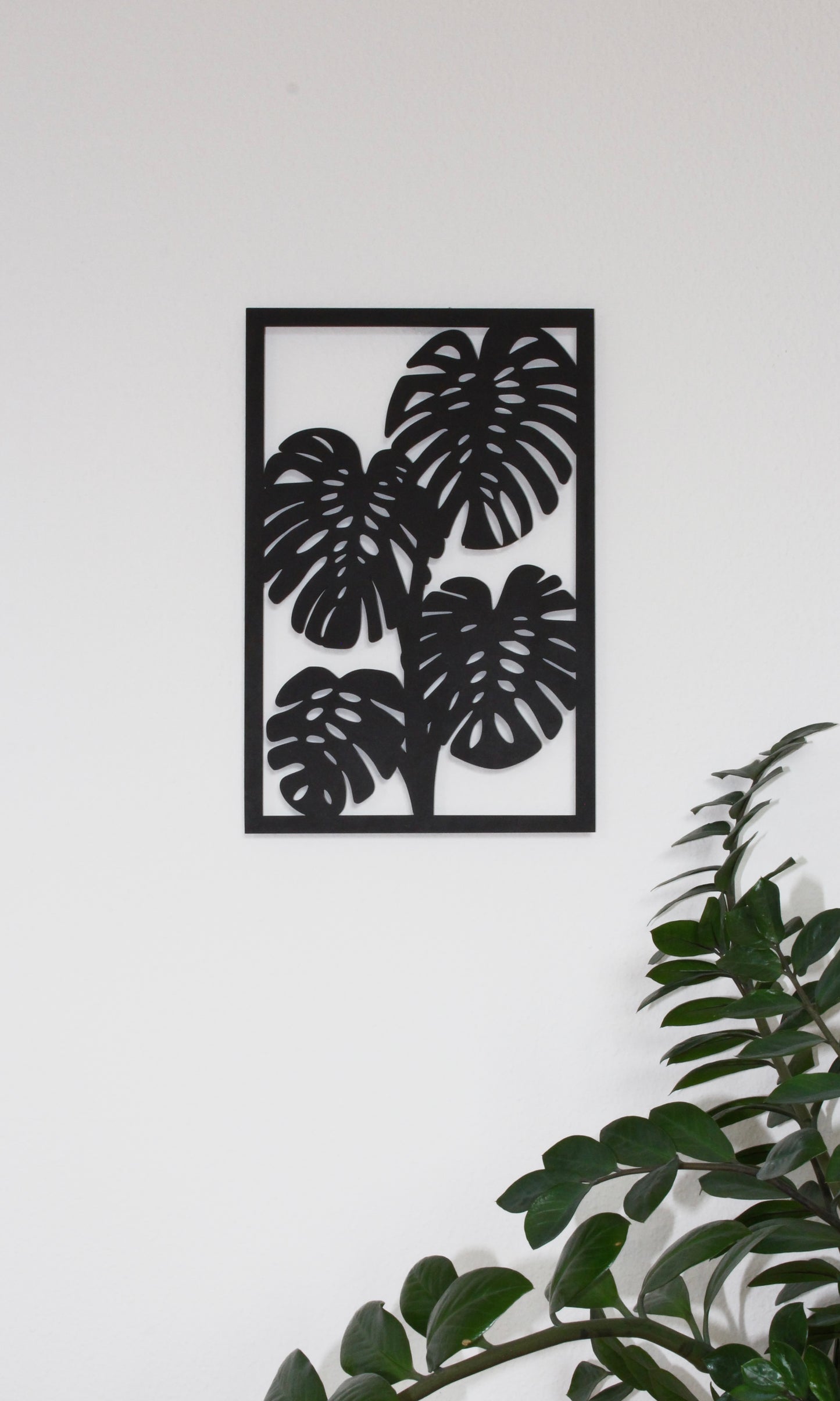 Monstera