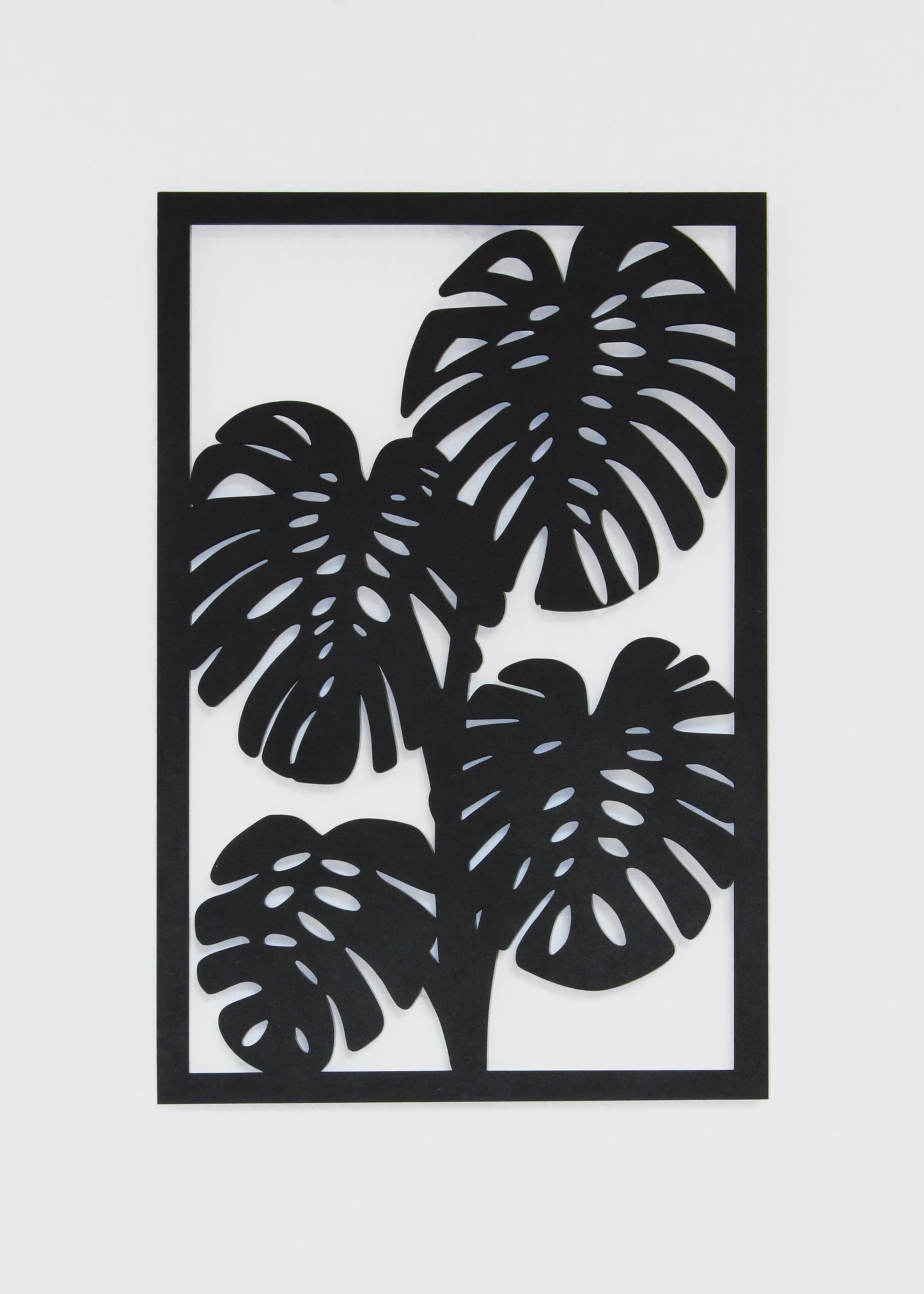 Monstera