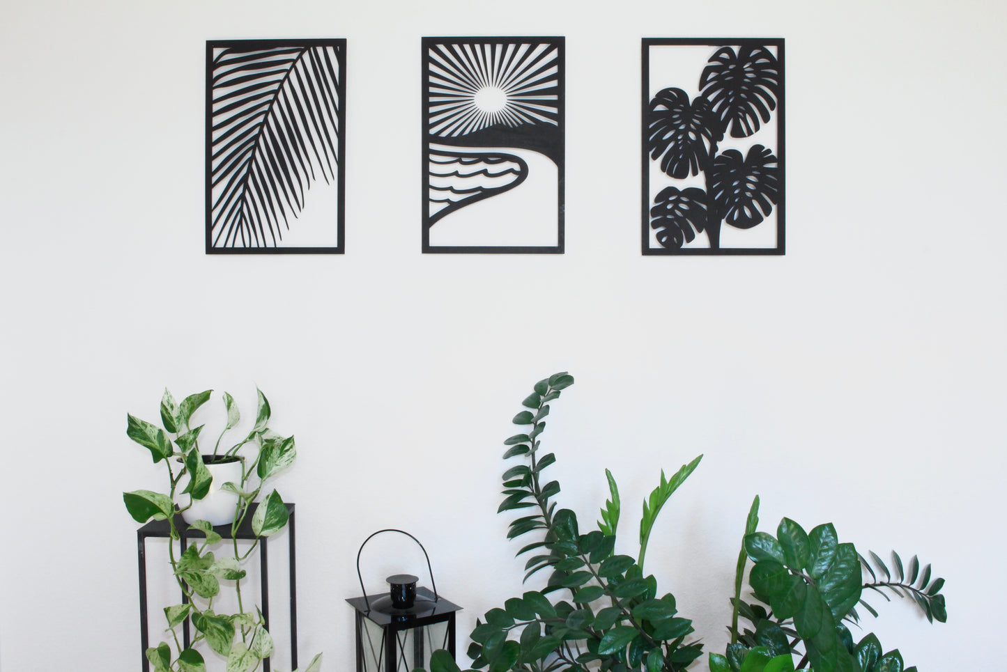 Monstera
